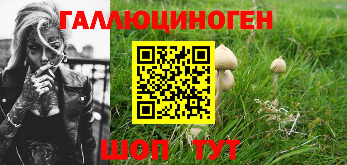 Псилоцибиновые грибы прущие грибы Сальск