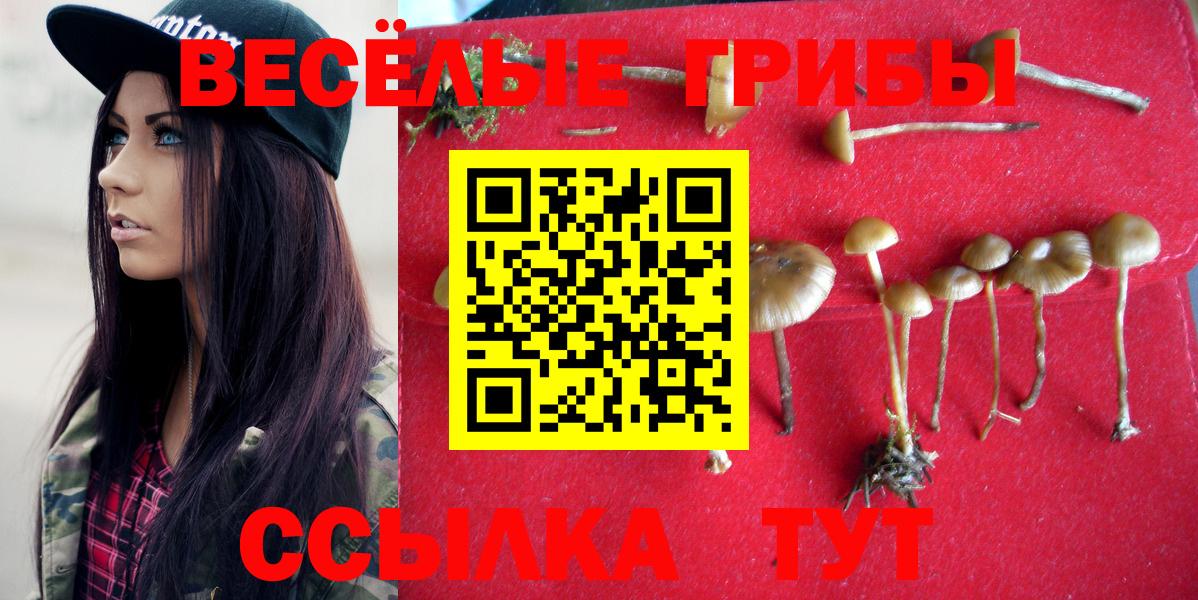Галлюциногенные грибы Psilocybine cubensis  Вход с VPN  Псилоцибиновые грибы Psilocybine cubensis  Сальск 
